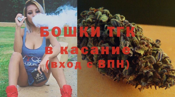 ГАЛЛЮЦИНОГЕННЫЕ ГРИБЫ Аркадак