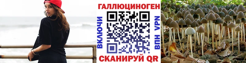 Галлюциногенные грибы Magic Shrooms где найти Муравленко