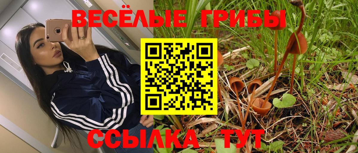 Муравленко  Галлюциногенные грибы ЛСД  Вход с VPN 
