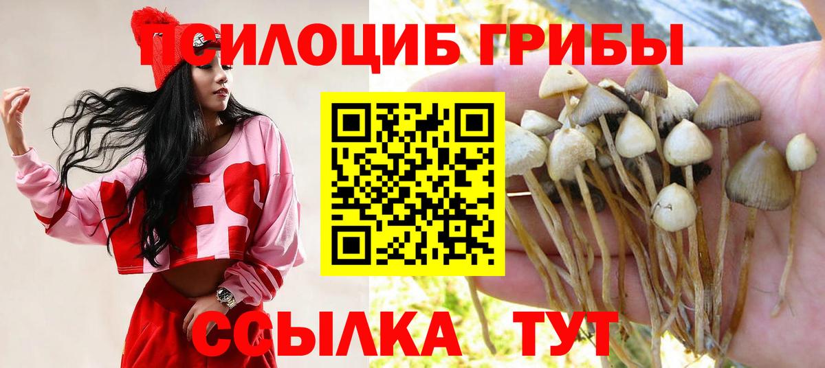 Галлюциногенные грибы Cubensis Муравленко